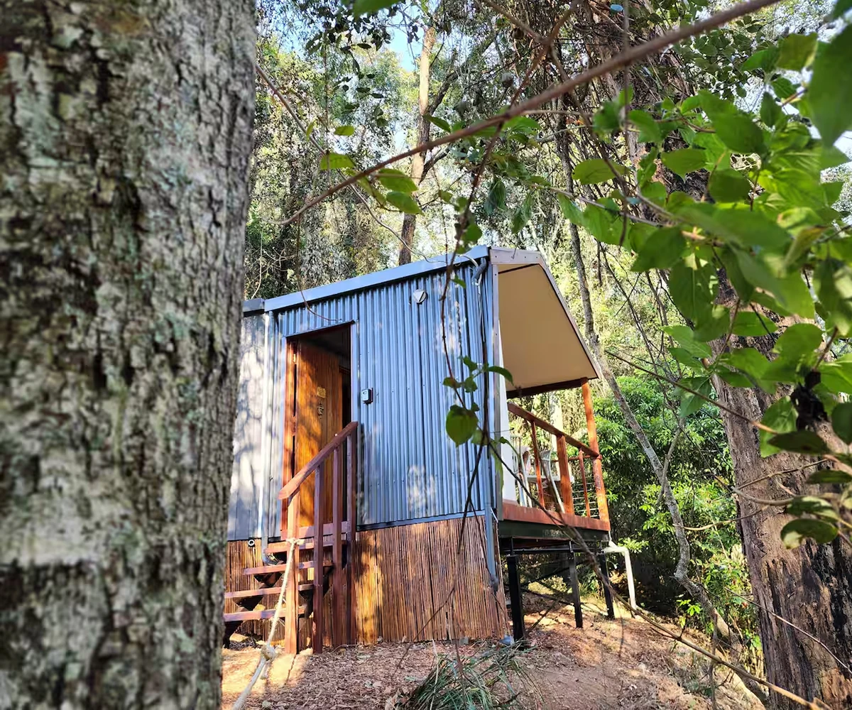 Our work is inspired by nature — not only in appearance, but in performance. Through biophilic design principles and breathable, natural materials, we create homes that feel calm, grounded and connected to their environment, supporting both physical and mental wellbeing.